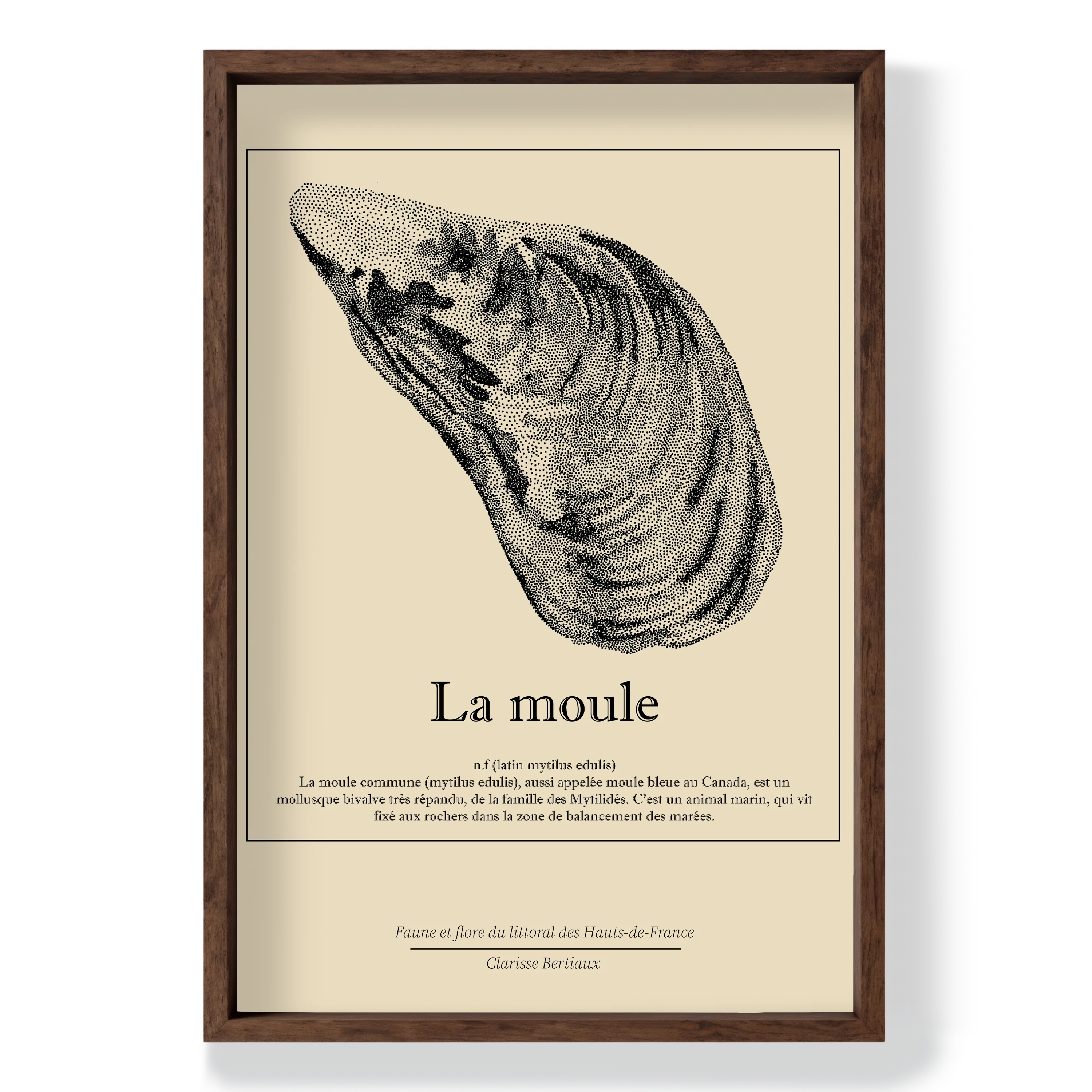 print A3 MOULE