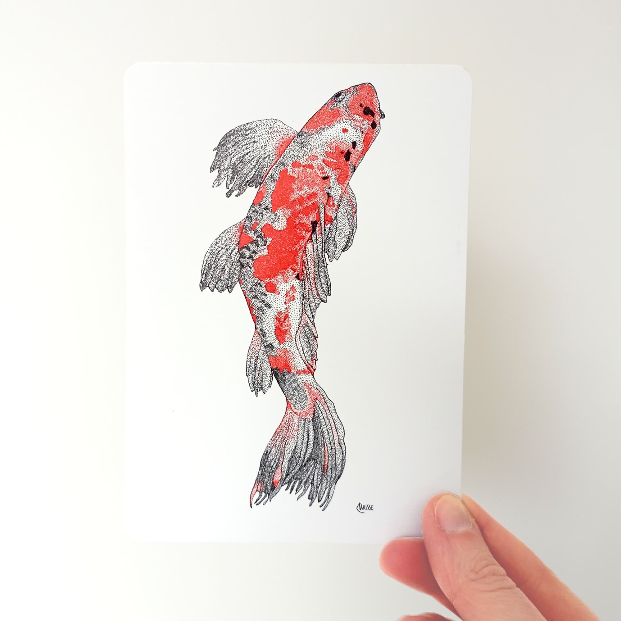 Carte postale Carpe Koï