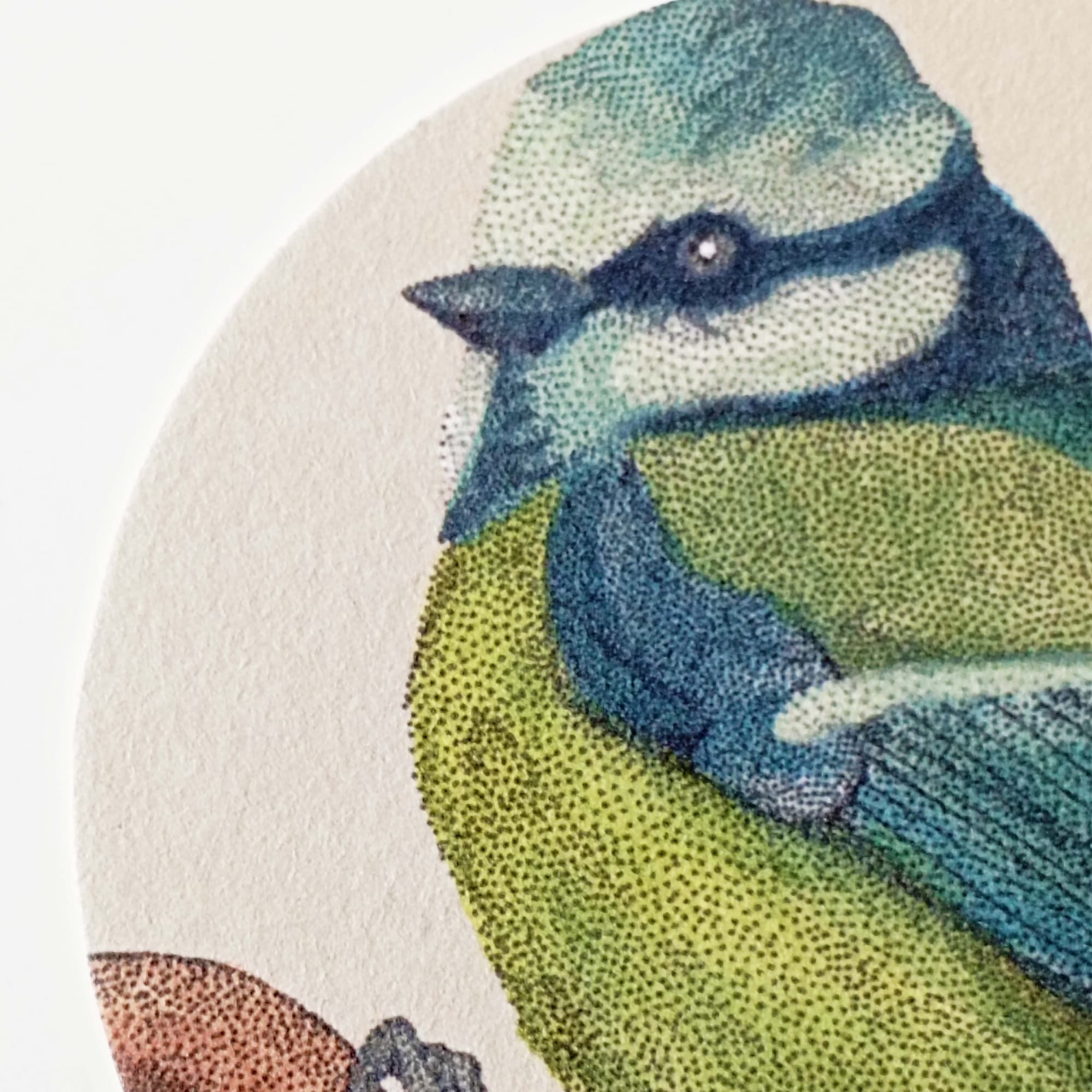 Sous-verres oiseaux