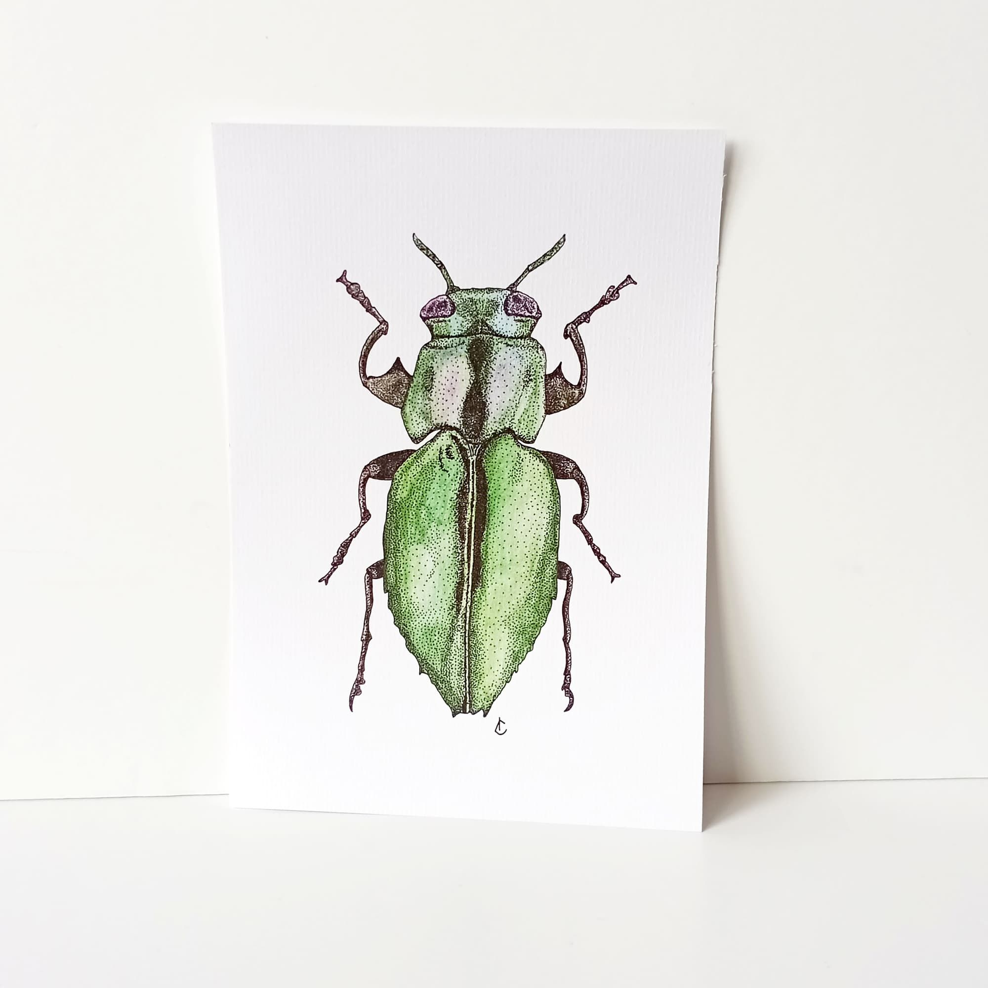 Prints Animaux