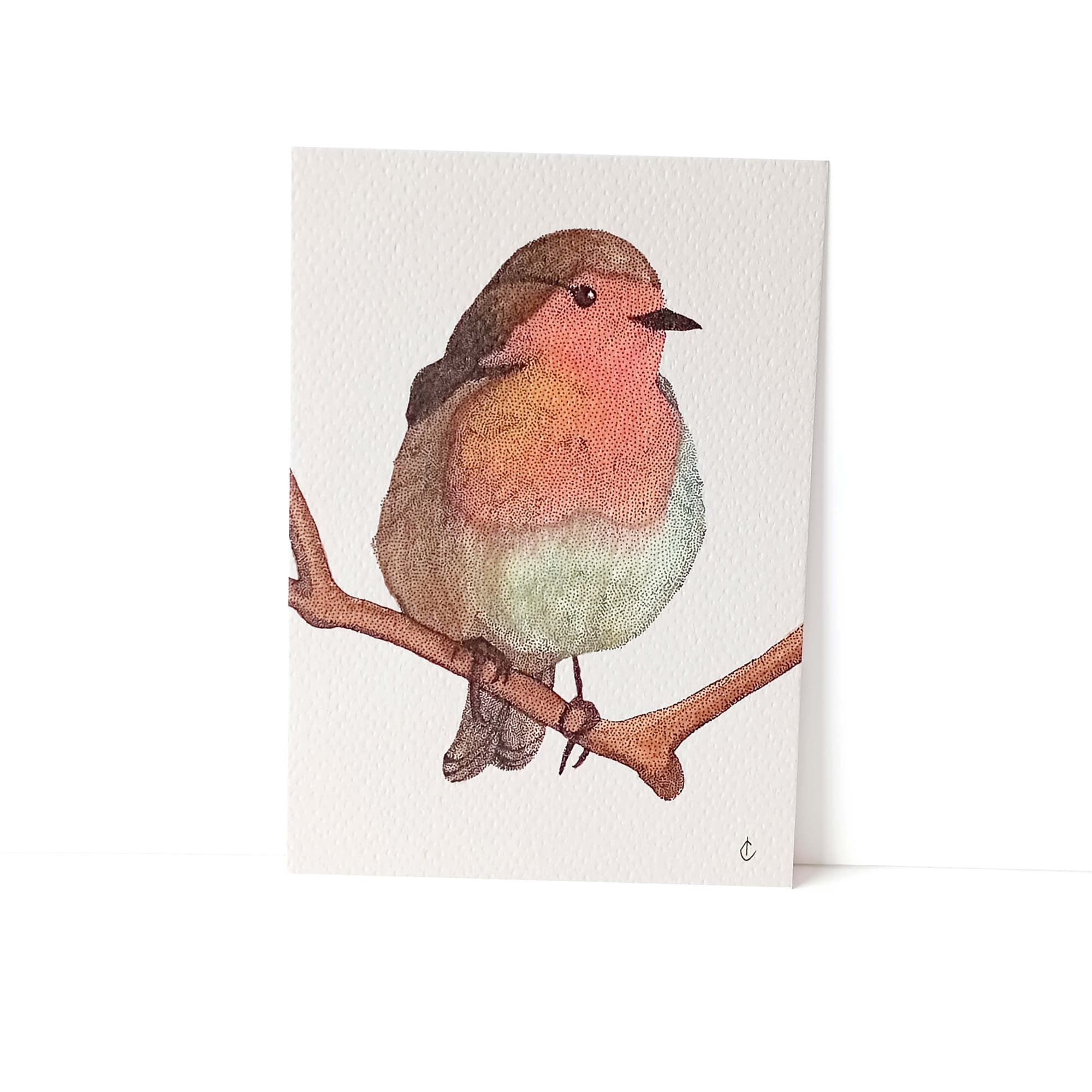 Cartes postales Oiseaux