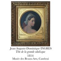 Illustration originale d'après La tête de la grande odalisque de Ingres - 10x15 cm