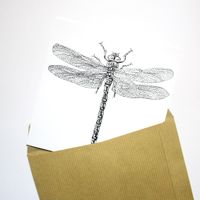 Print Libellule 15x15 cm