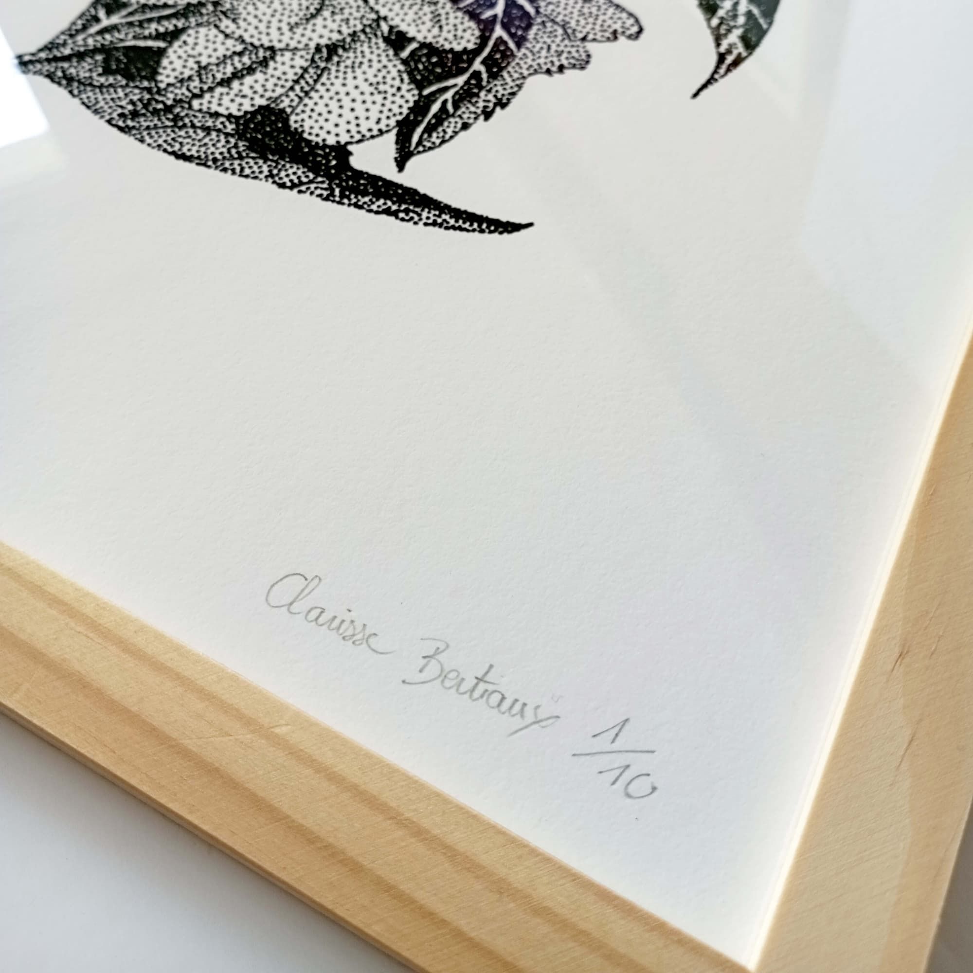 Impression d'art Colibris