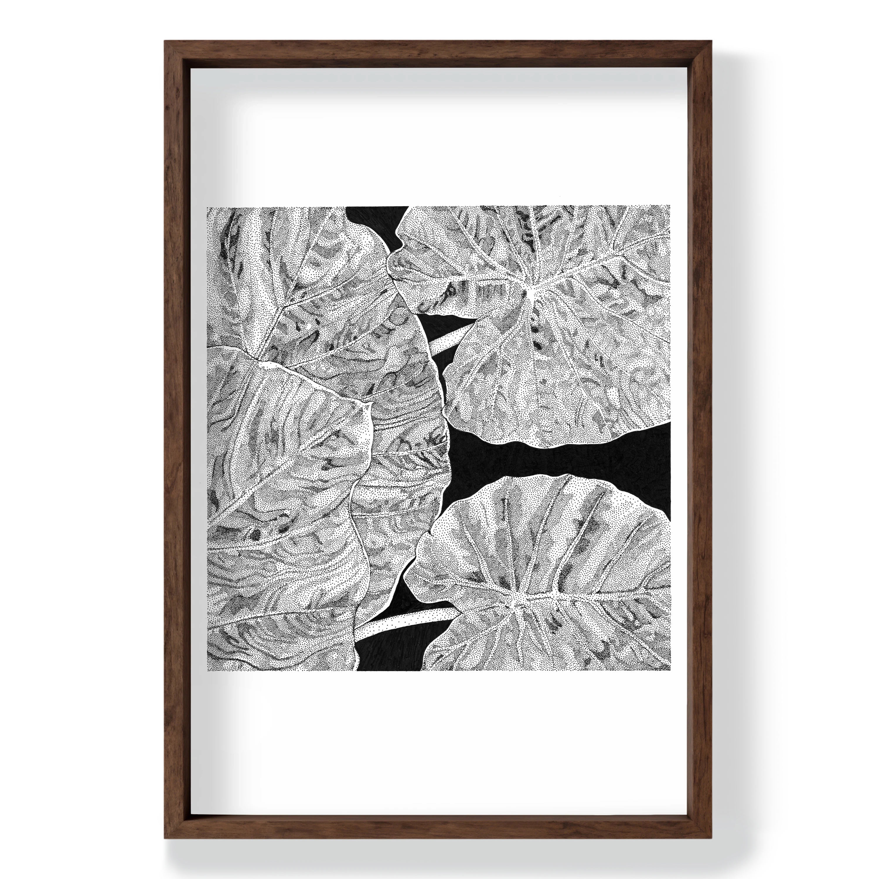 print A3 PLANTE