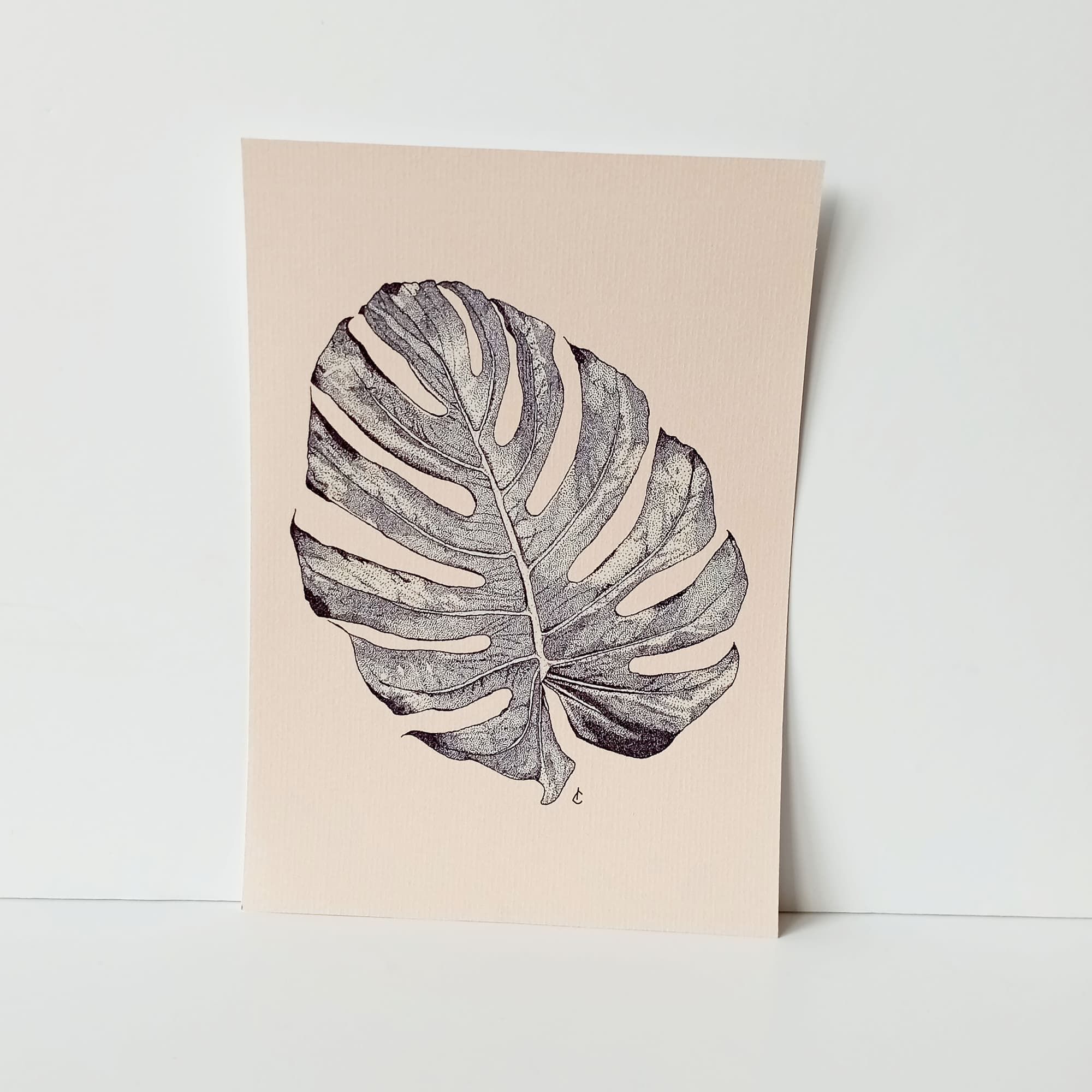 Prints Plantes couleur