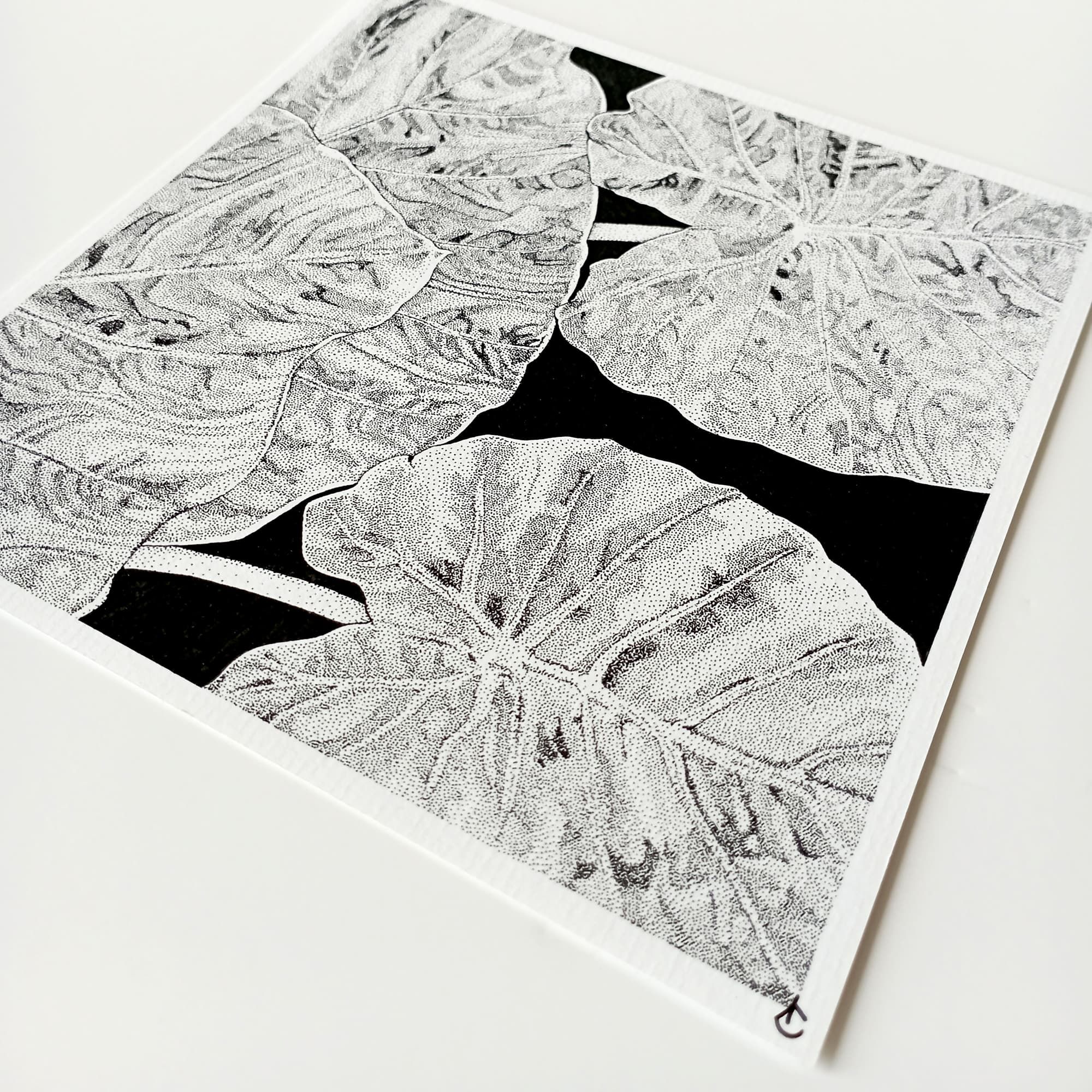 Prints Plantes noir et blanc