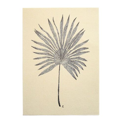 Print Chamaerops A5 - 14,8x21 cm