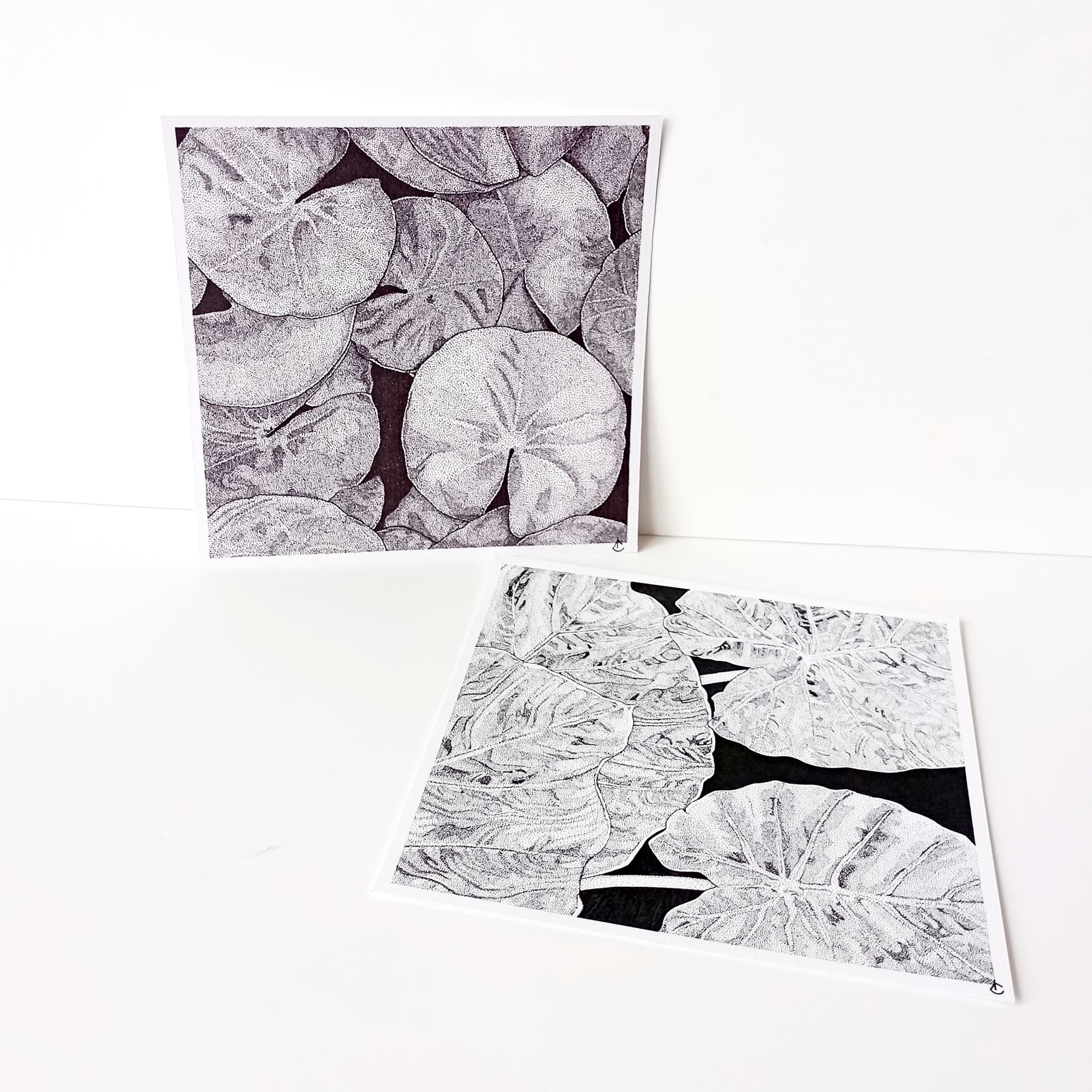 Prints Plantes noir et blanc