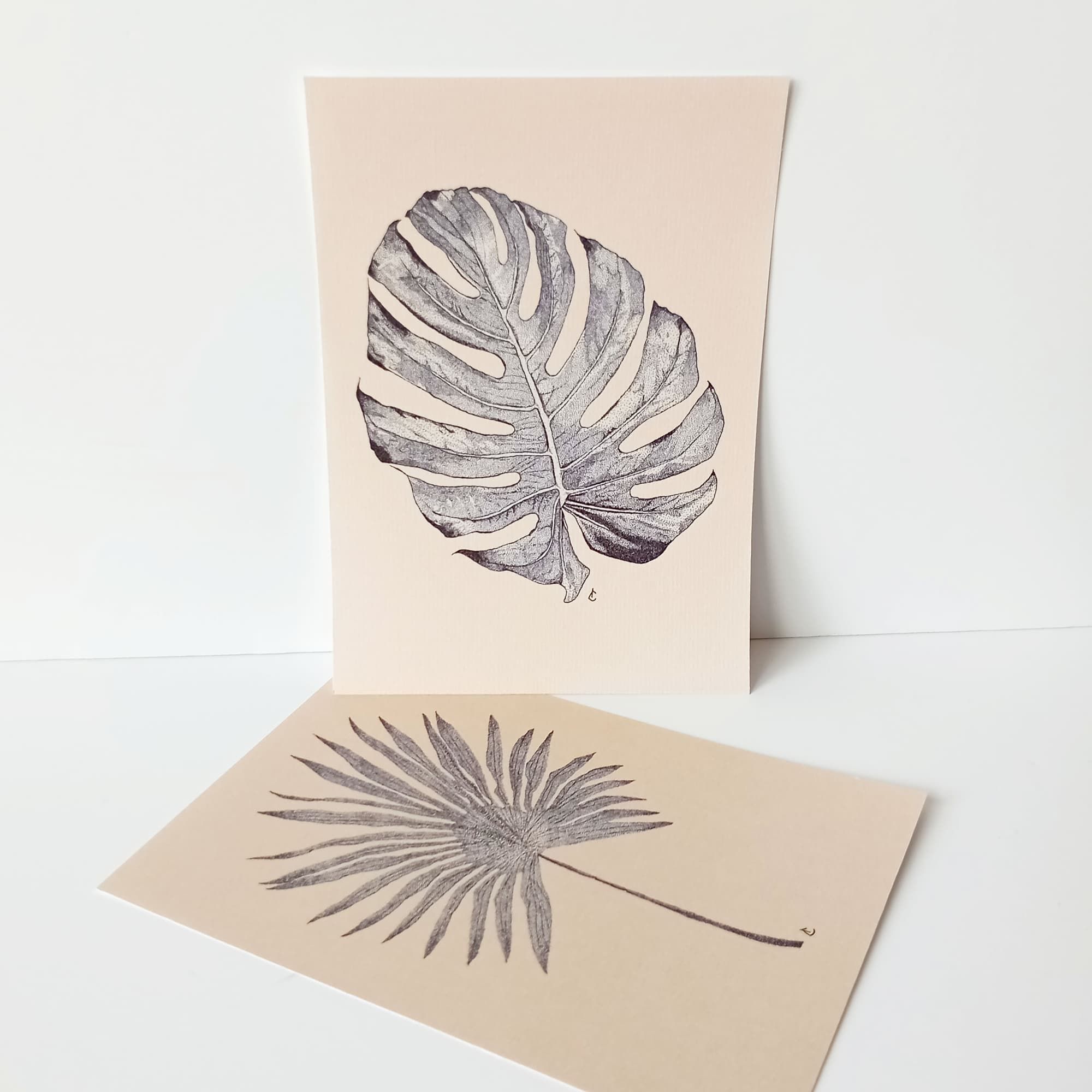 Prints Plantes couleur