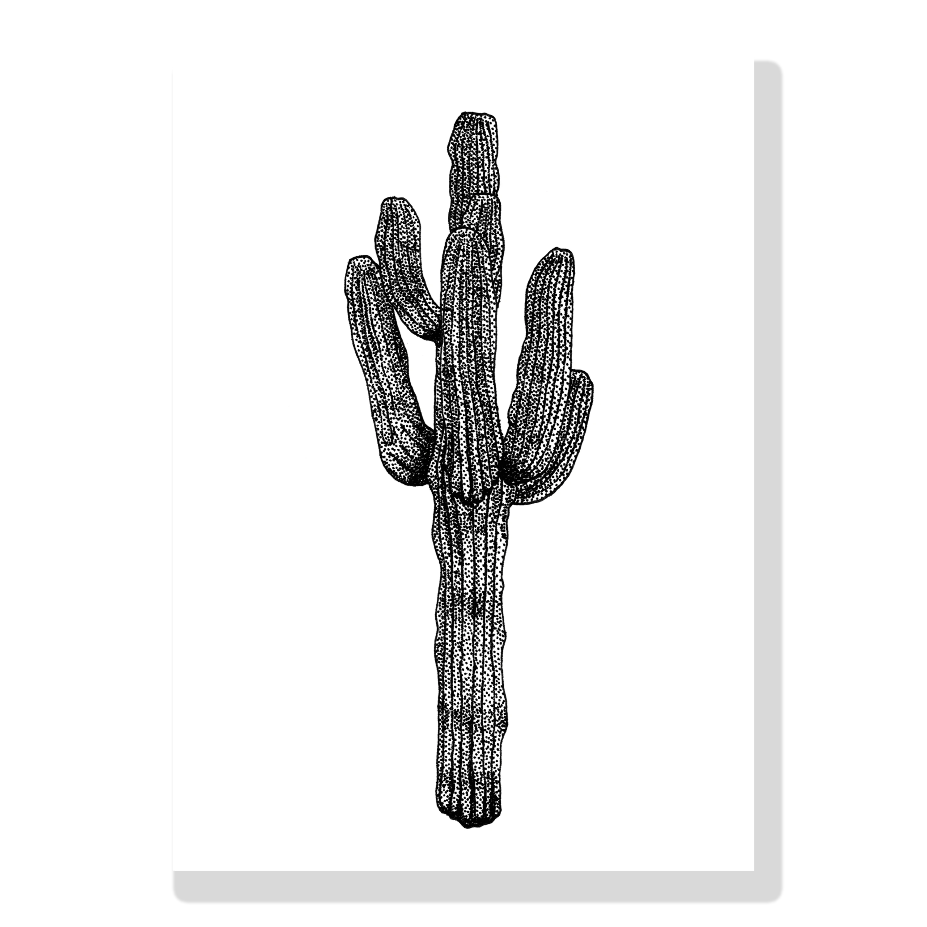 print A6 CACTUS