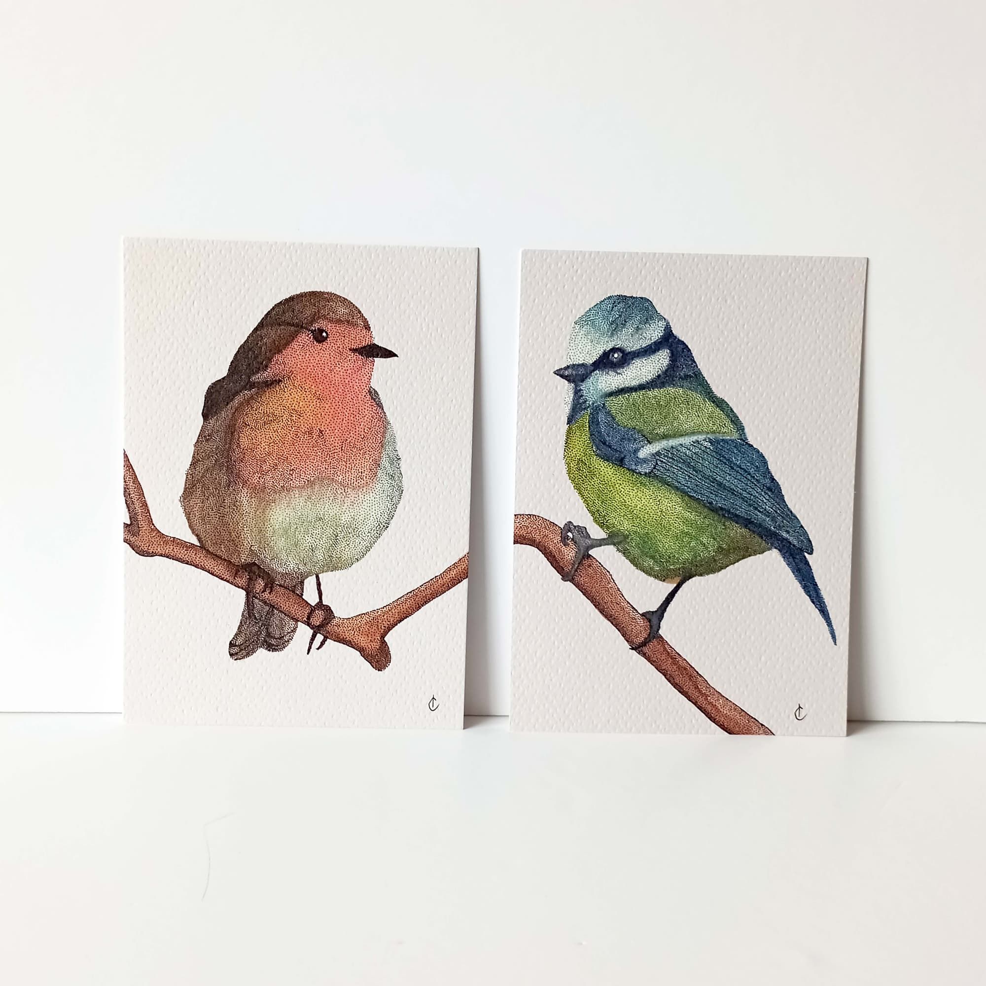 Cartes postales Oiseaux