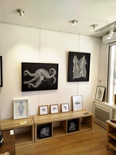 DS Store Lille Lomme