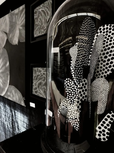 DS Store Lille Lomme