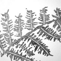 Print Fougère A4 - 21x29,7 cm