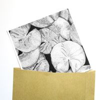 Print Nymphéas nénuphars 15x15 cm
