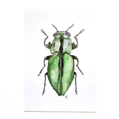 Print Scarabée A5 - 14,8x21 cm