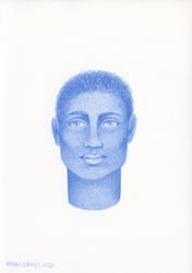 Cours en ligne Le Paon - Mettre un portrait en couleur : les volumes