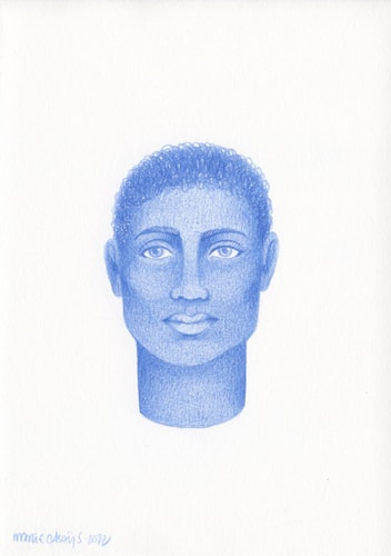 Cours en ligne Le Paon - Mettre un portrait en couleur : les volumes