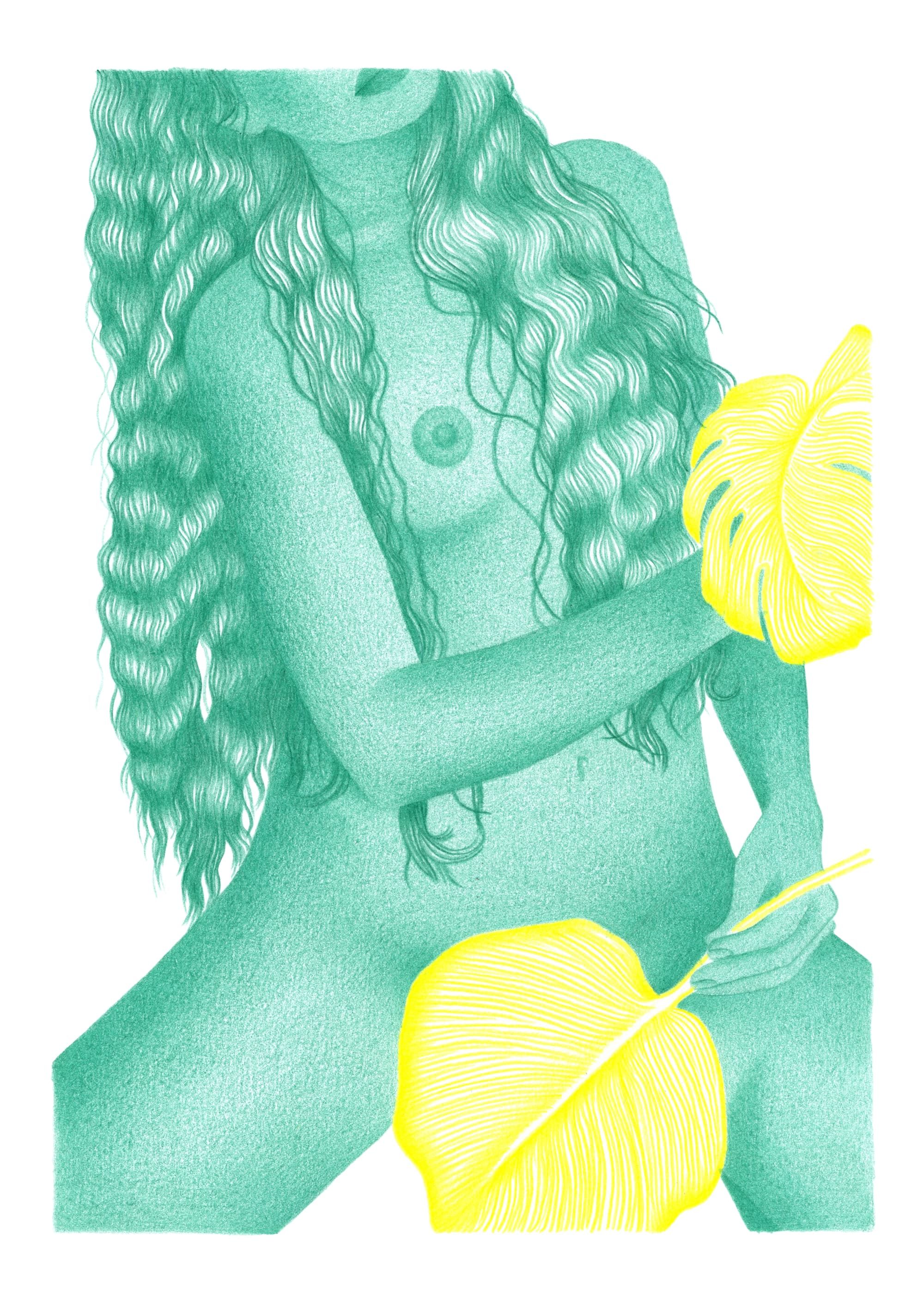 Monstera deliciosa - reproduction dessin 50x70cm