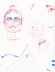 Cours en ligne Le Paon - Construire un portrait : les proportions