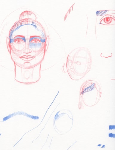 Cours en ligne Le Paon - Construire un portrait : les proportions