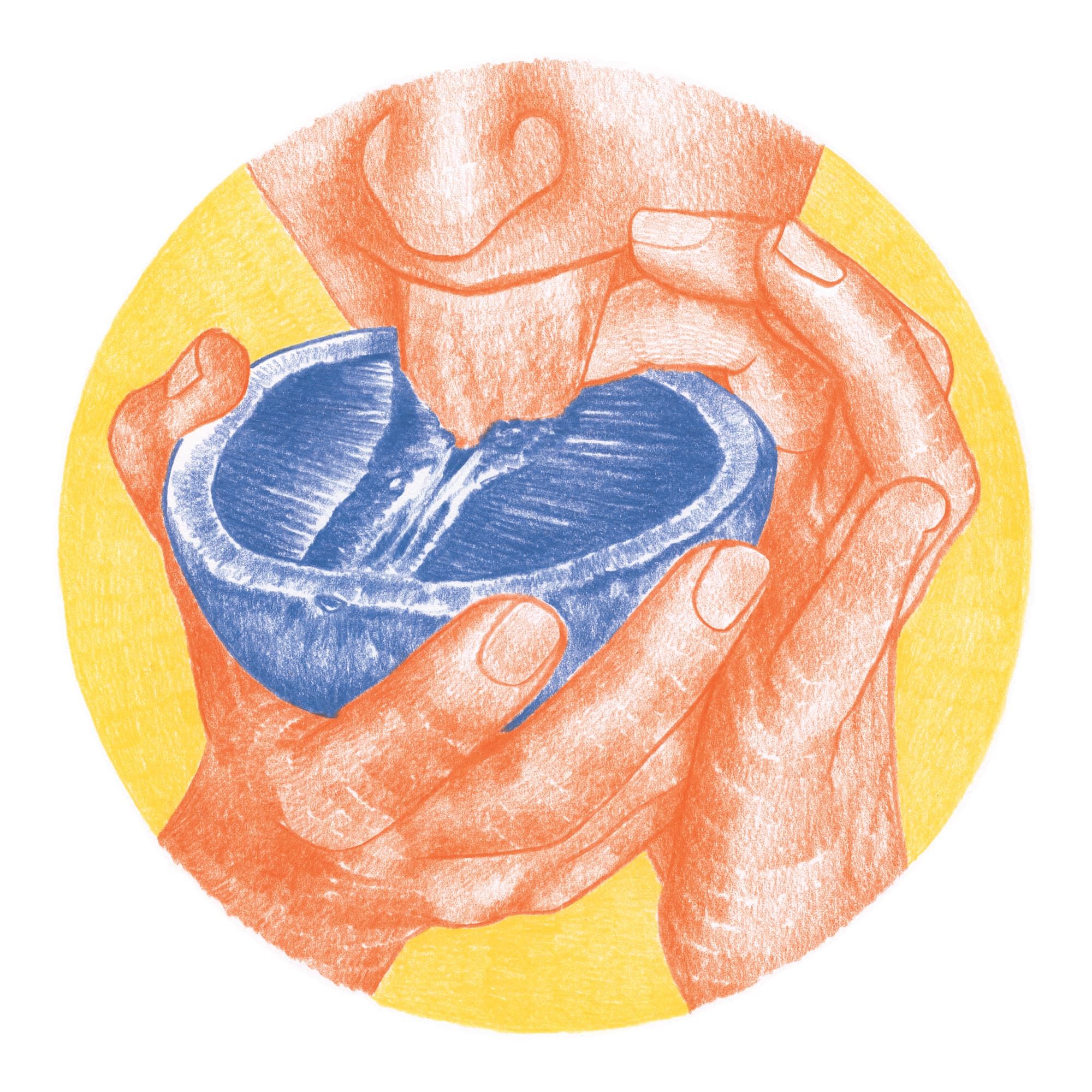 Pamplemousse - reproduction dessin 30x30cm