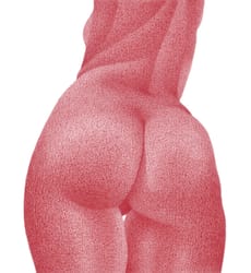 Emily Selman