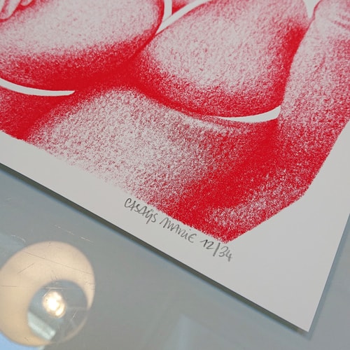 Le bouli rouge - 30x30cm