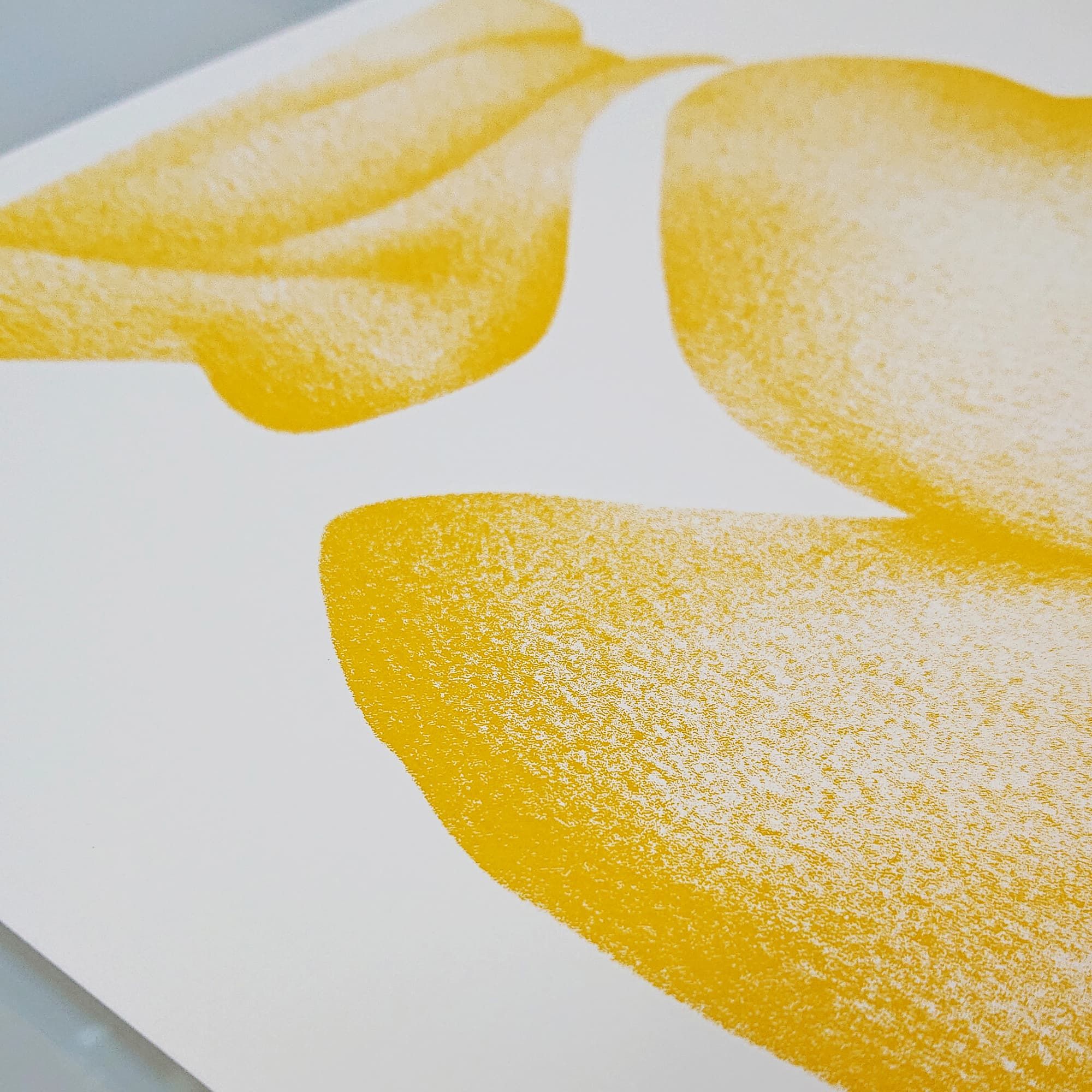 Le bouli jaune - sérigraphie 30x30cm
