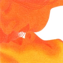 Emily Selman