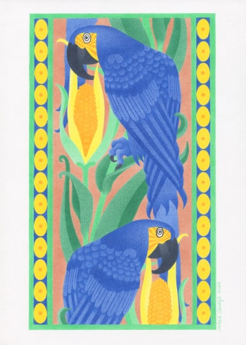 Les perroquets de Maurice