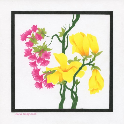 Fleurs de magnolias et de cerisier ornemental