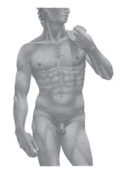 David - A4