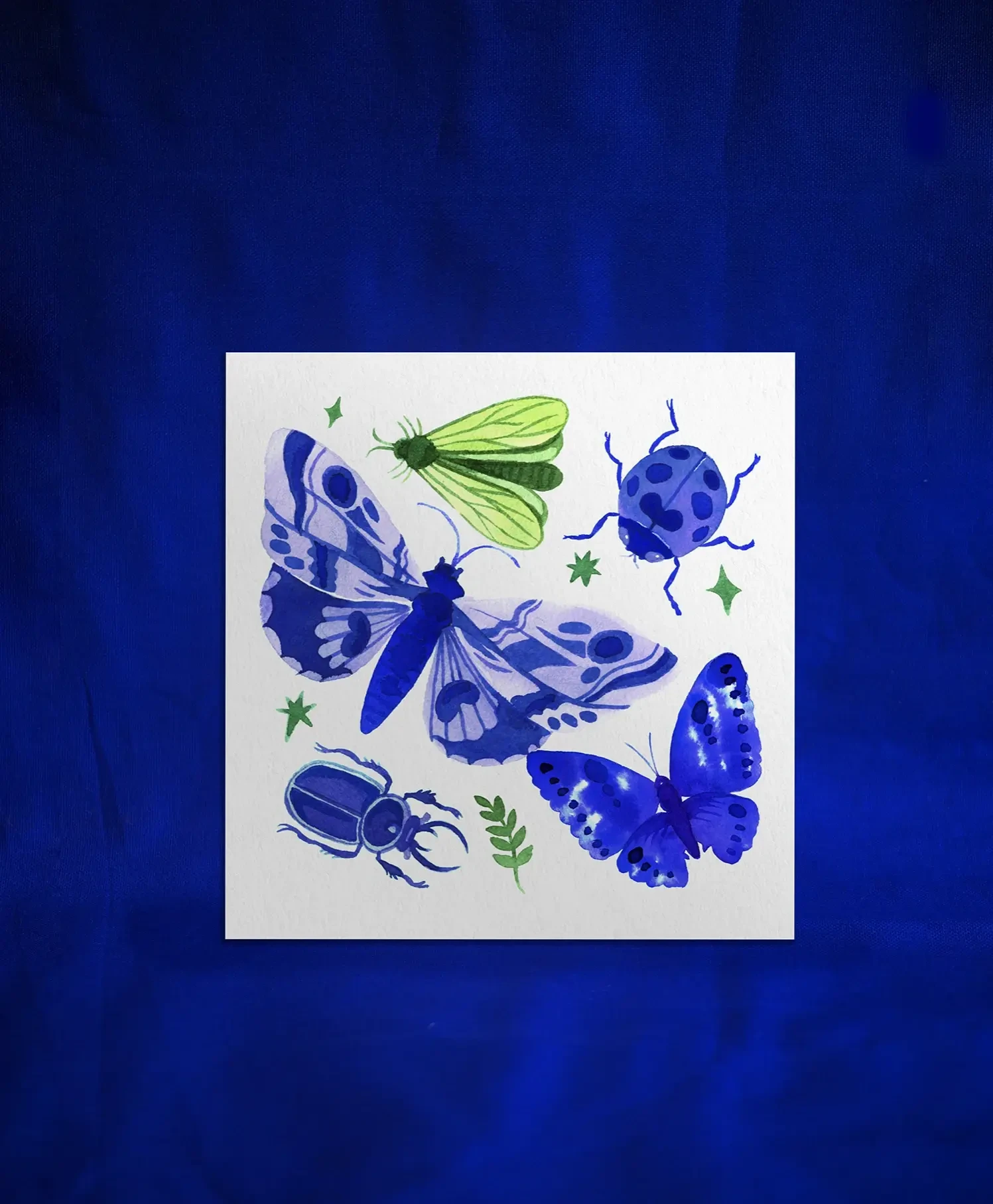 Print 20x20cm • Insectes