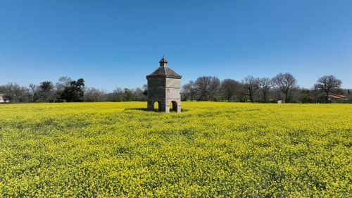Photographie aérienne d'un ancien pigeonnier au milieu d'un champ de fleurs jaunes.