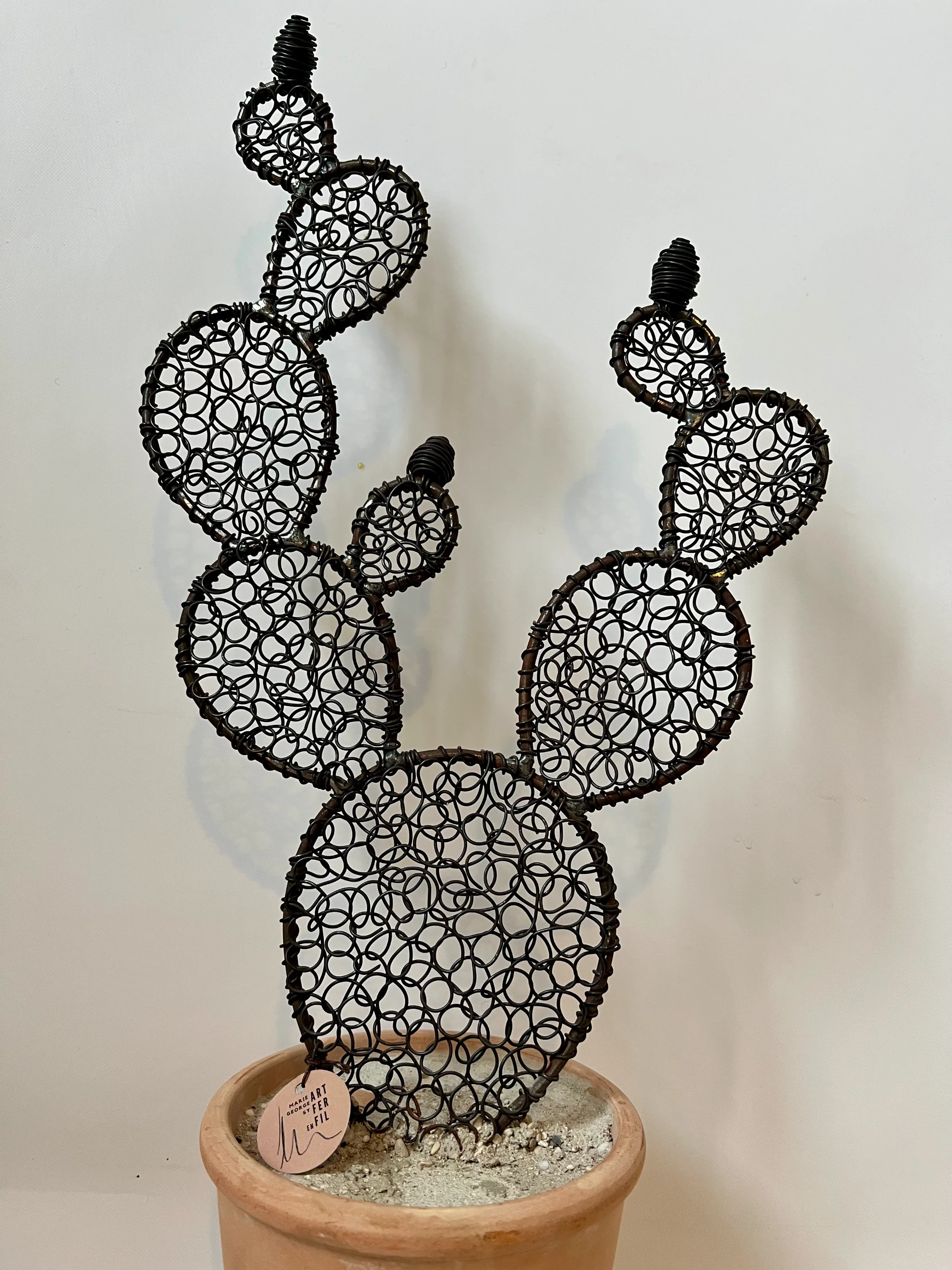 Cactus figuier 9 - 56 