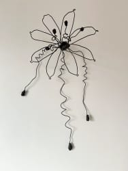 Wall Flower (lily)