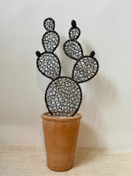 Cactus fig tree wire 7 - 51