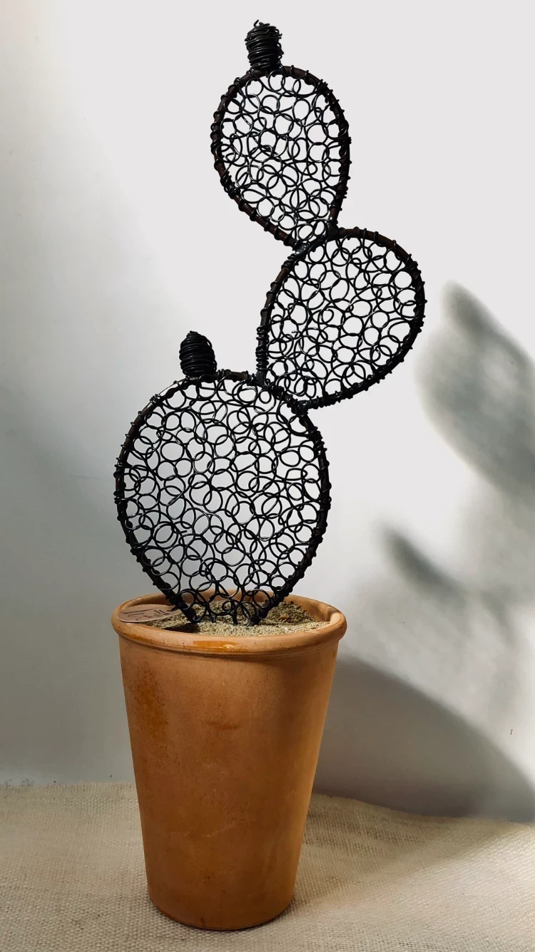 Prickly Pear Cactus 3 - 48