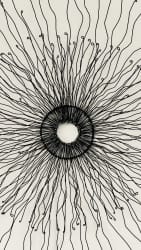 Wire Sun 68