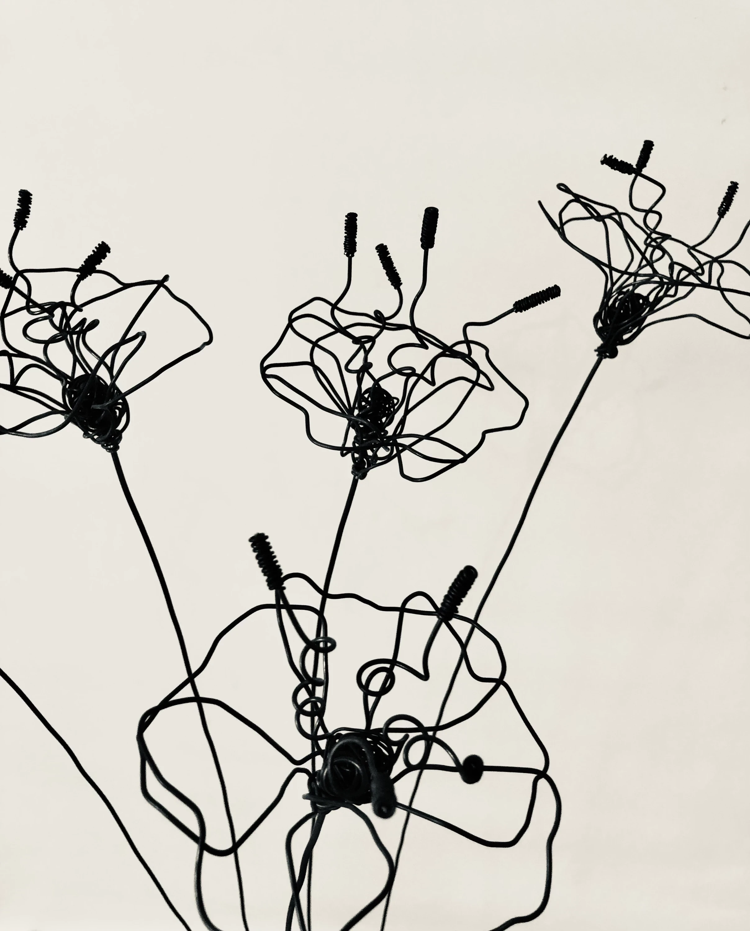 XL WIRE FLOWER TO PLANT