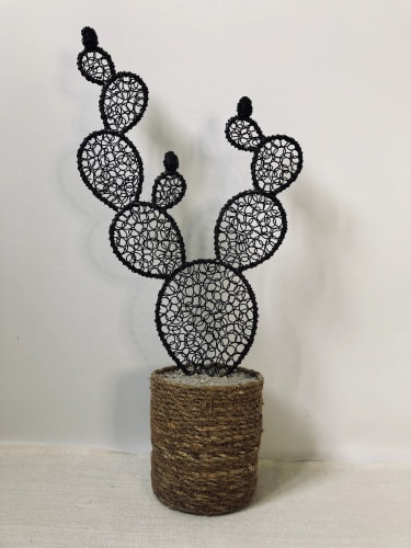 Cactus figuier 9 - 56