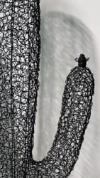 cactus candélabre mailles 98