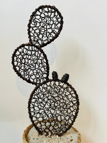 Cactus figuier 3 - 48