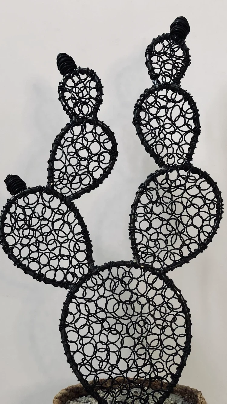 Prickly Pear Cactus 9 - 56