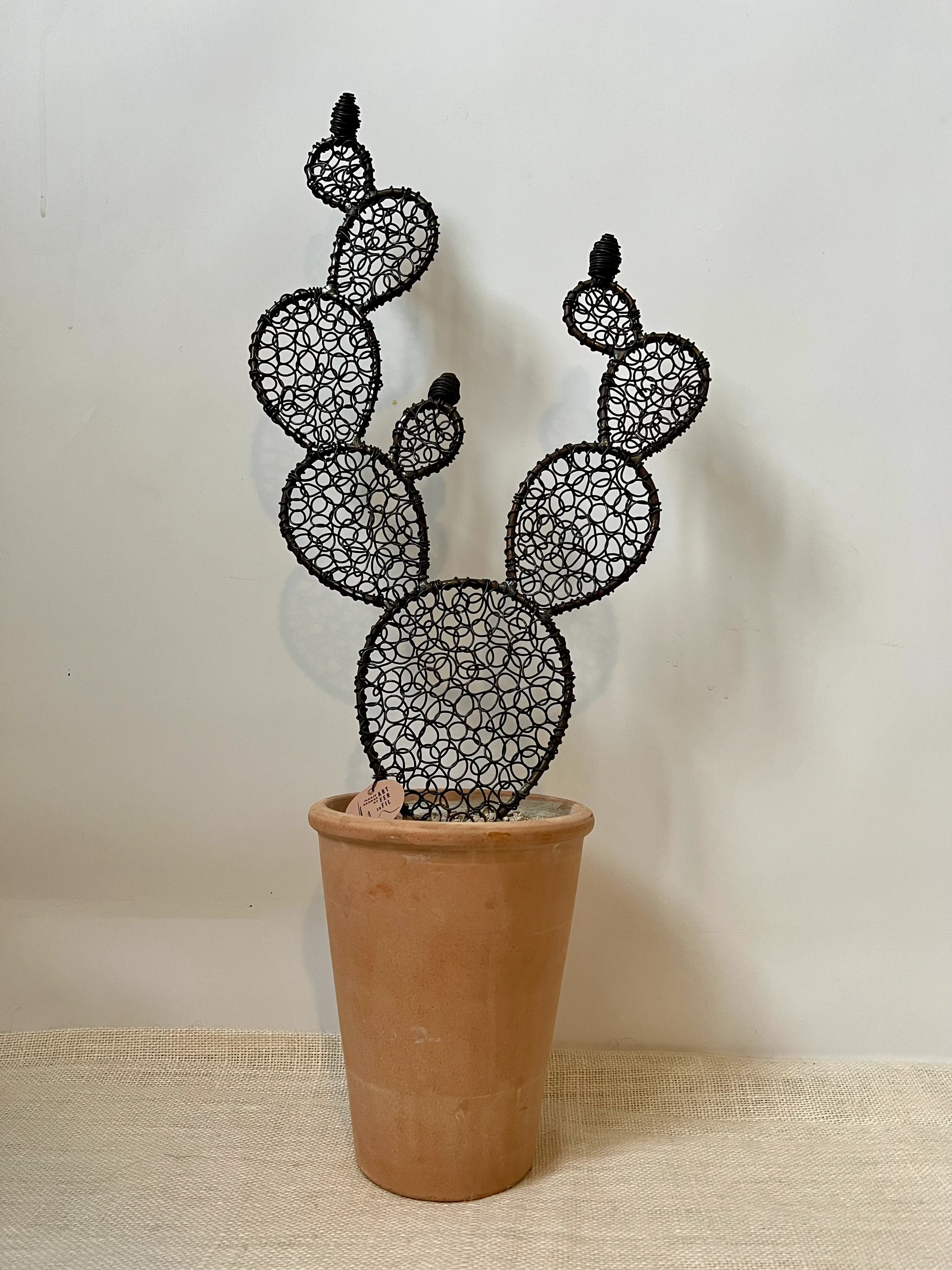 Cactus figuier 9 - 56 