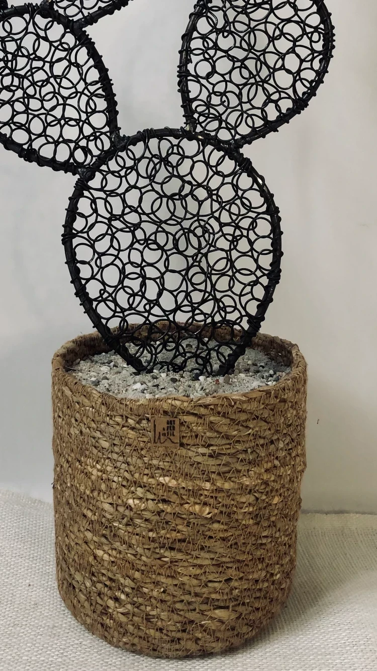 Prickly pear cactus in wire 7 - 51