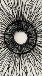 Wire Sun 68