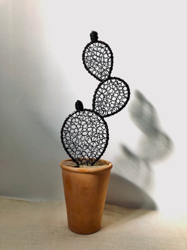 Cactus figuier 3 - 48